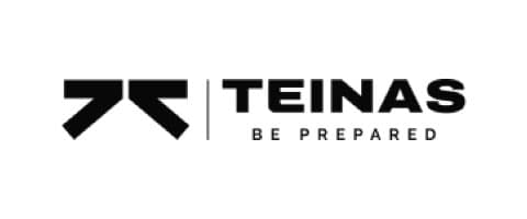 Logo de Teinas
